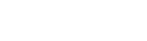 Falconsoft